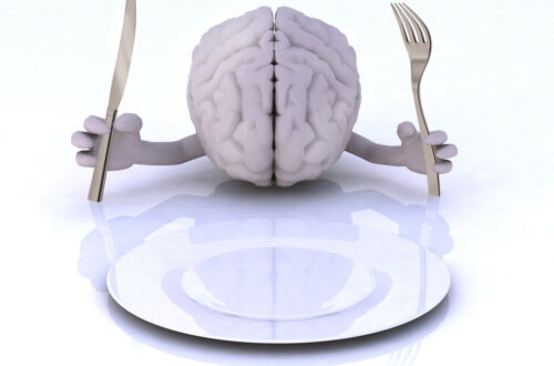 cerveau et nutrition